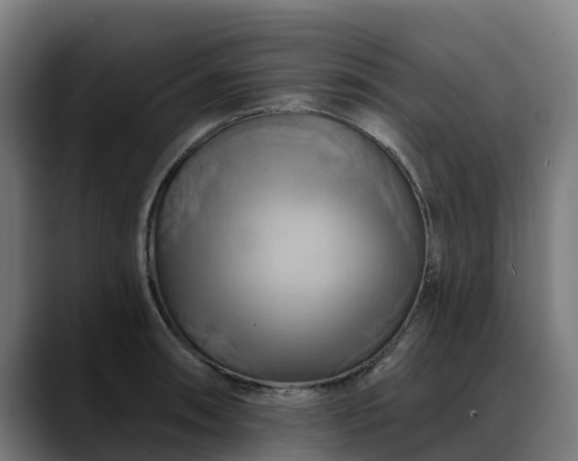 X0000088471090200705291544