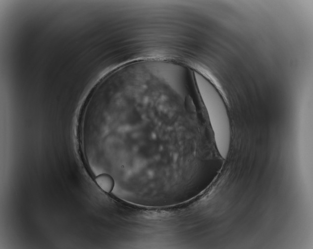 X0000088471091200705291544
