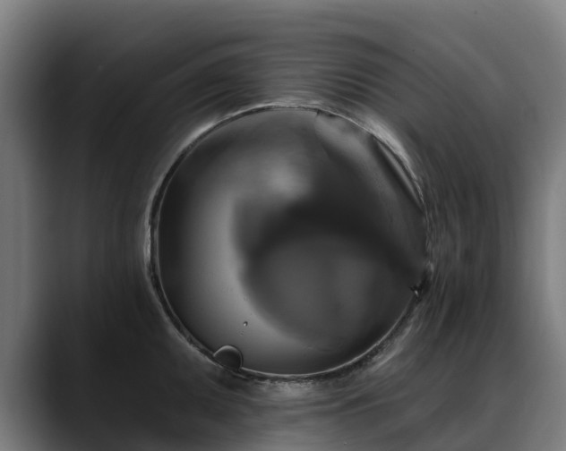 X0000088471095200705291544