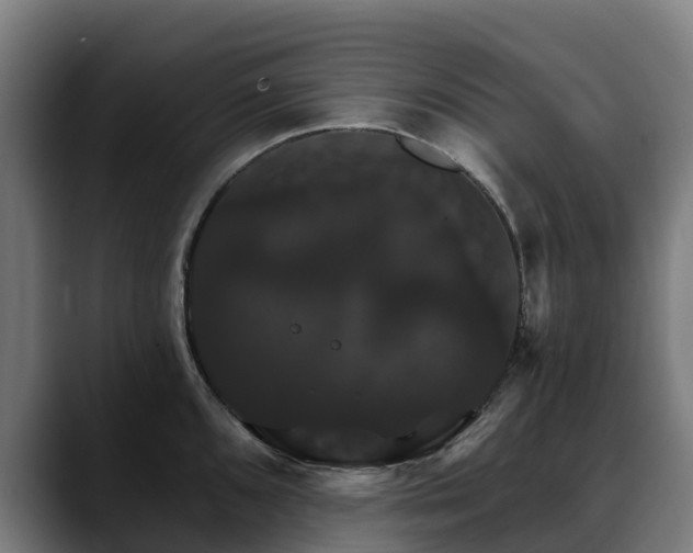 X0000088471096200705291544