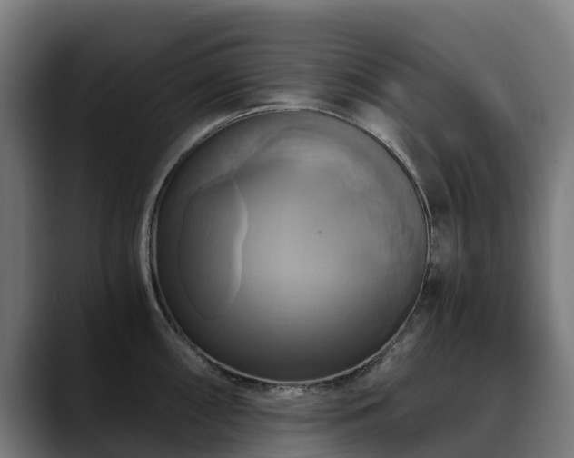 X0000088471098200705291544