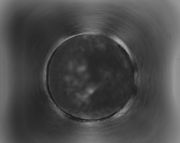 X0000088471099200705291544