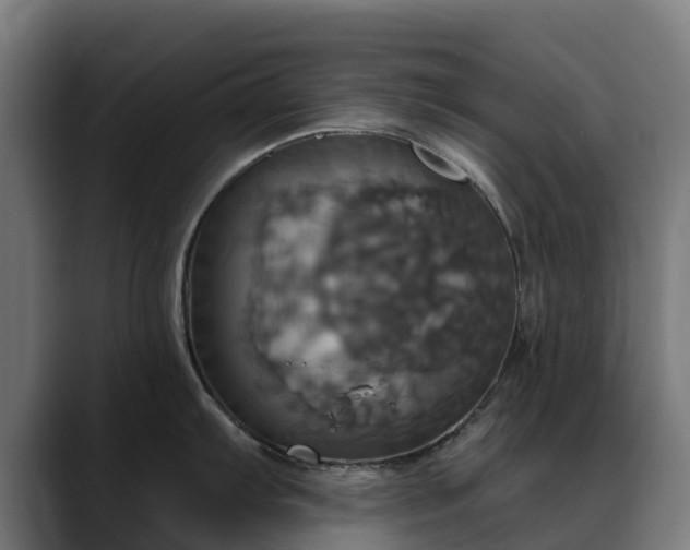 X0000088471103200705291544