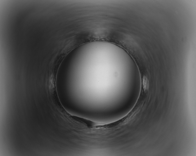 X0000088471107200705291544