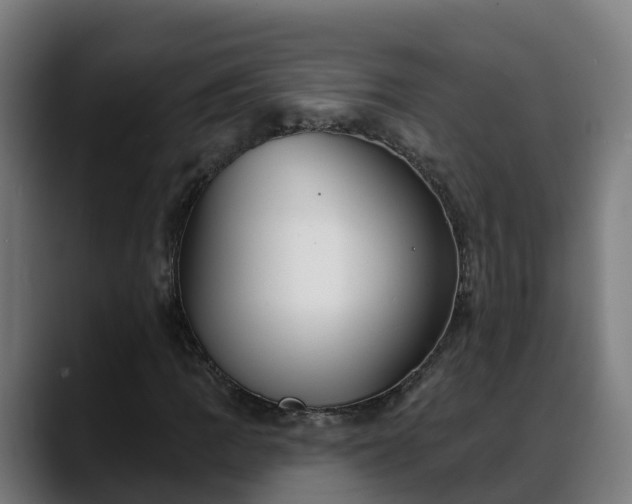 X0000088471109200705291544