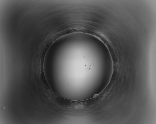 X0000088471111200705291544