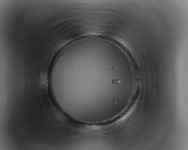 X0000088471113200705291544