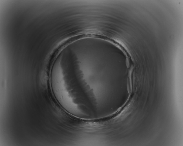 X0000088471115200705291544