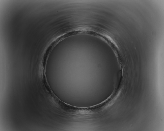 X0000088471117200705291544
