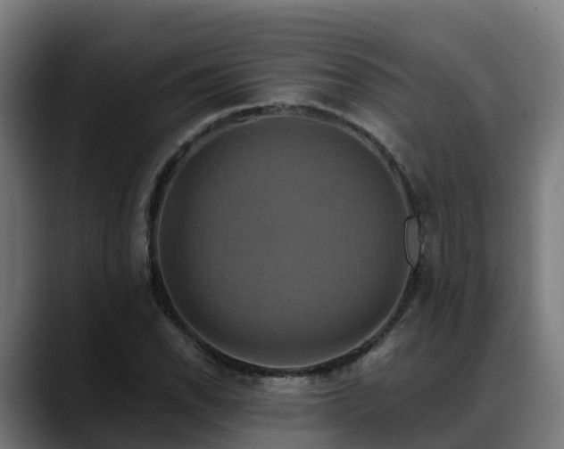 X0000088471118200705291544