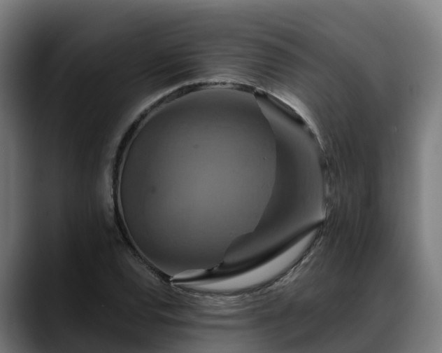 X0000088471120200705291544