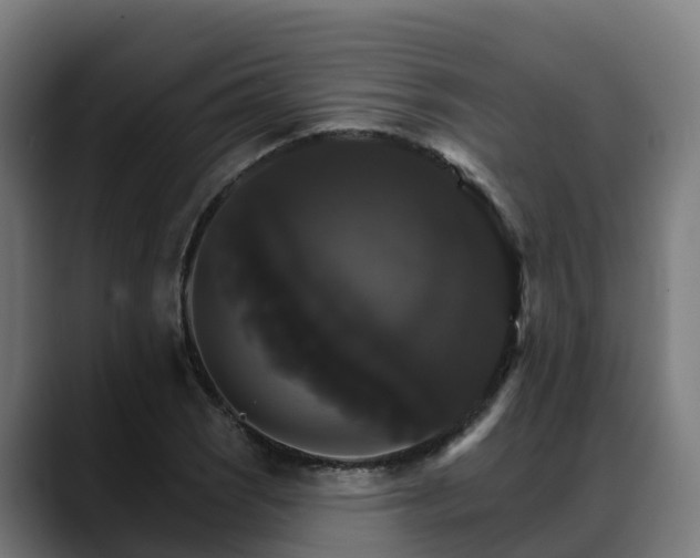 X0000088471121200705291544