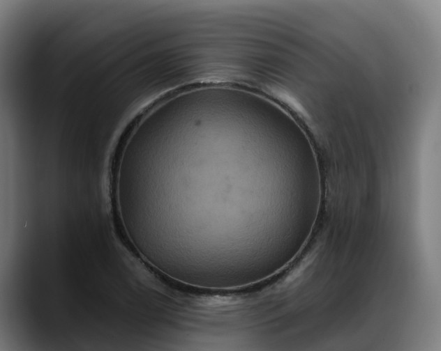 X0000088471122200705291544