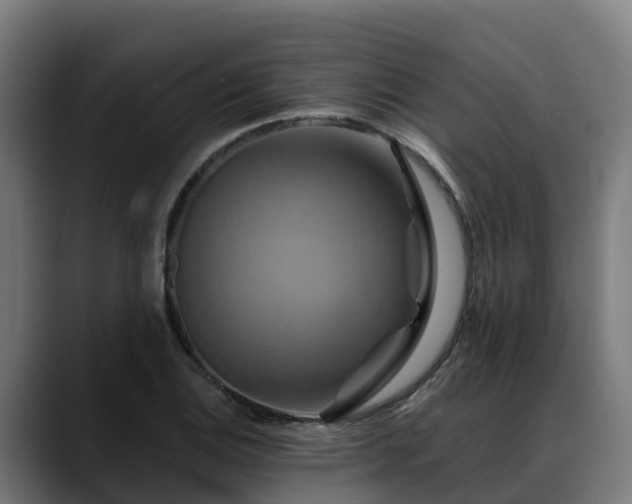 X0000088471124200705291544