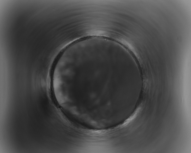 X0000088471125200705291544