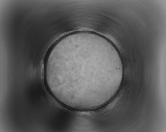 X0000088471126200705291544