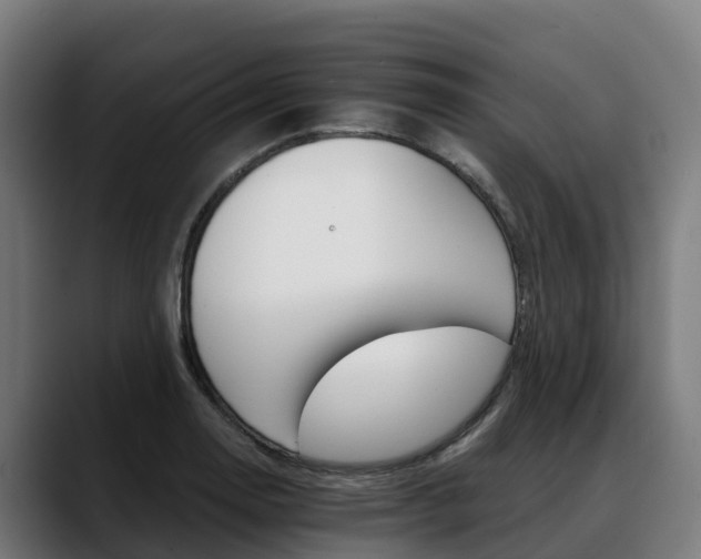 X0000088471130200705291544
