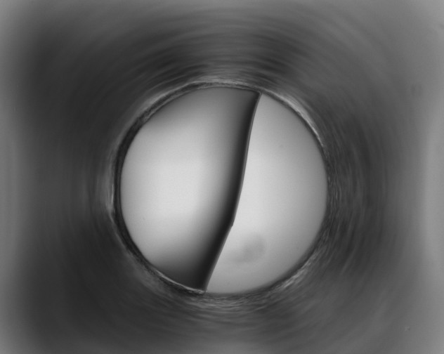X0000088471131200705291544