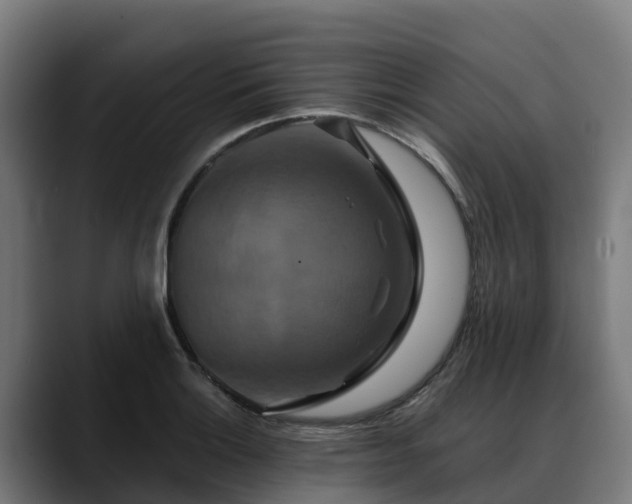 X0000088471132200705291544