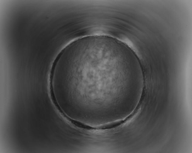 X0000088471134200705291544