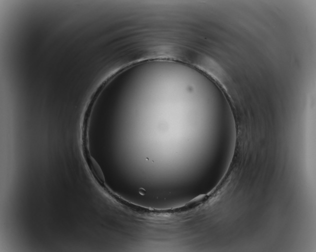 X0000088471135200705291544
