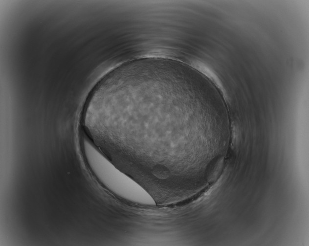 X0000088471138200705291544