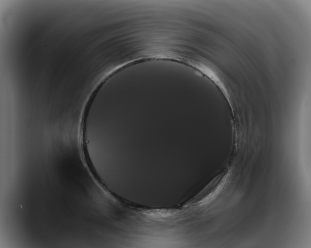 X0000088471141200705291544