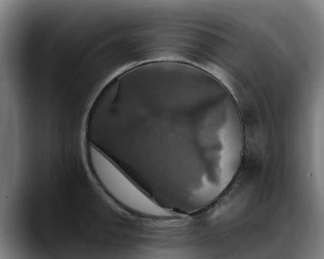 X0000088471142200705291544