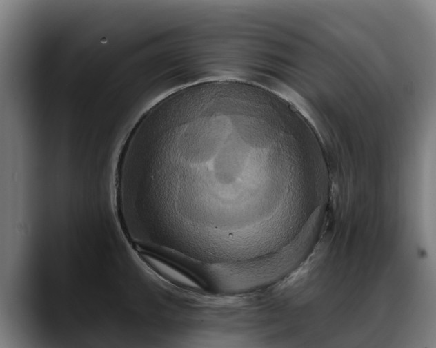 X0000088471143200705291544