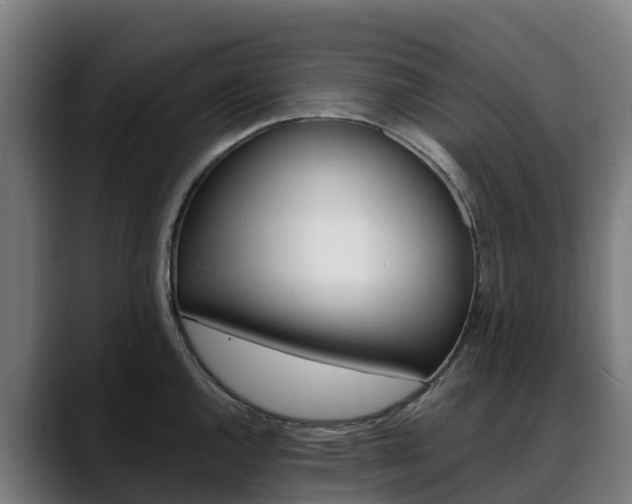 X0000088471144200705291544