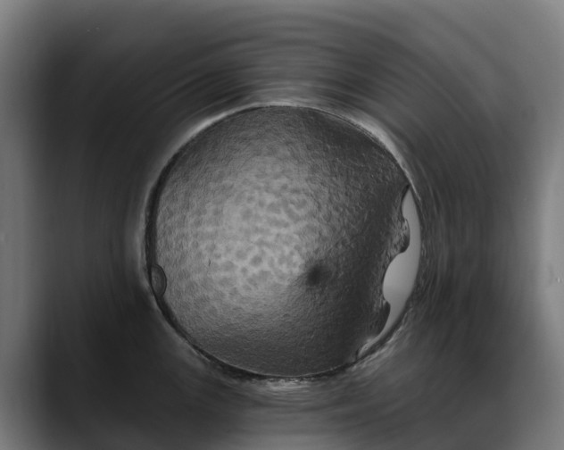X0000088471147200705291544