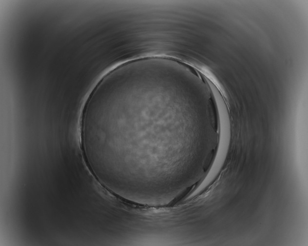 X0000088471148200705291544