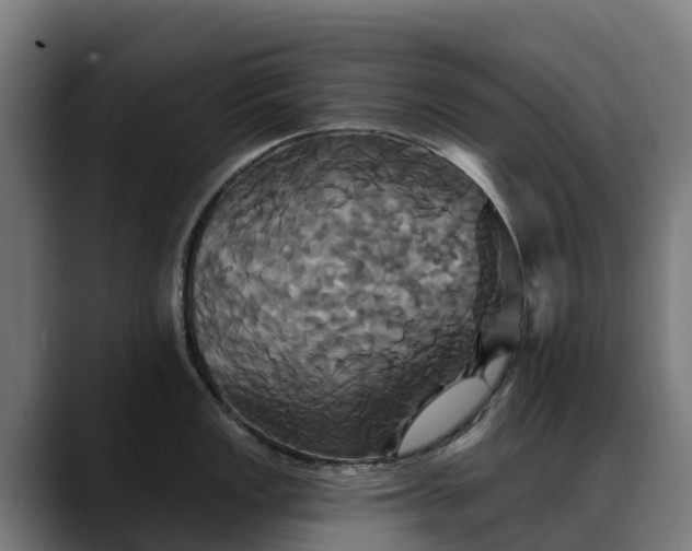 X0000088471149200705291544