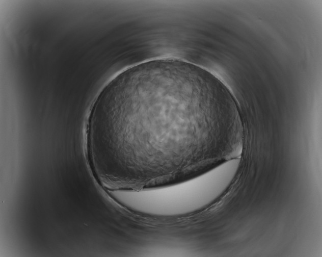 X0000088471151200705291544