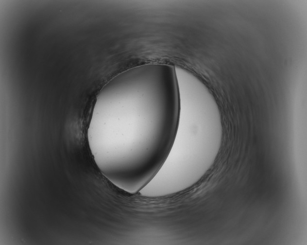 X0000088471156200705291543