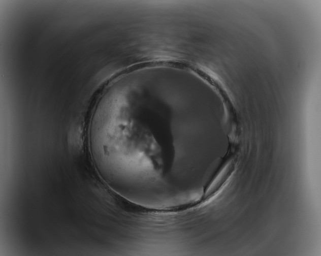 X0000088471163200705291543