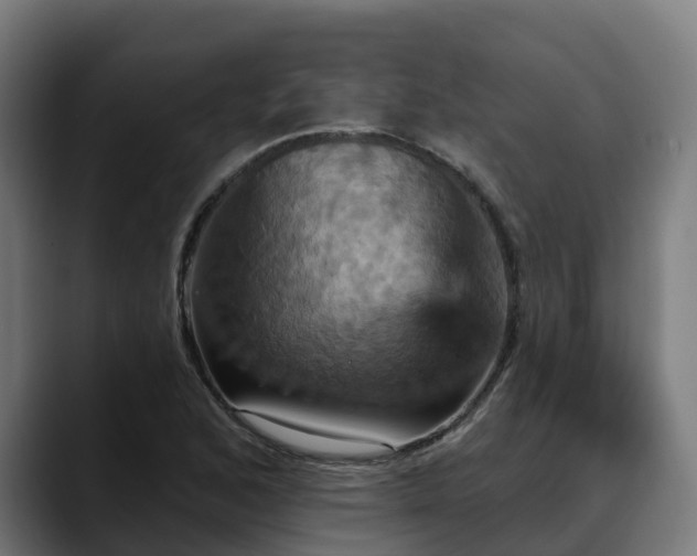 X0000088471168200705291543