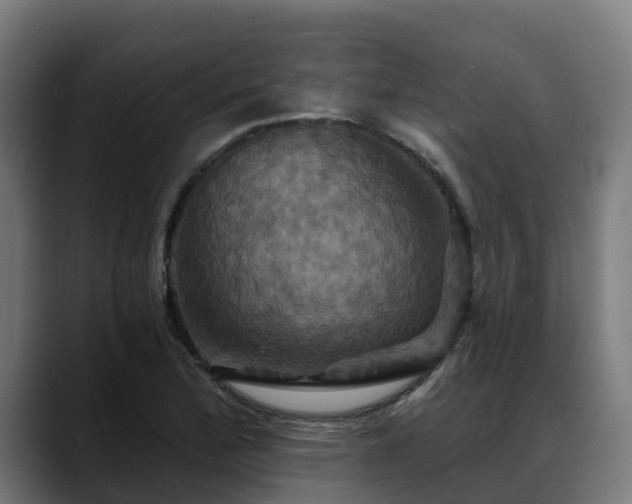 X0000088471172200705291543