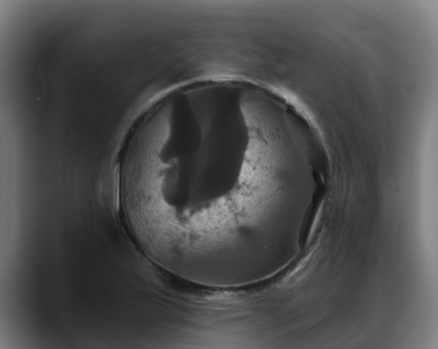 X0000088471175200705291543