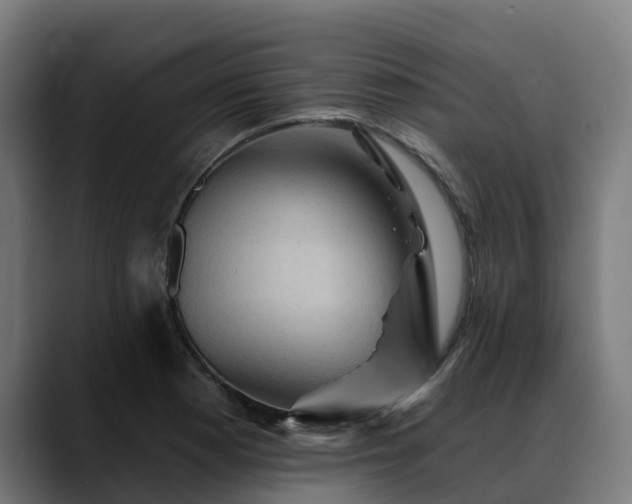 X0000088471177200705291543