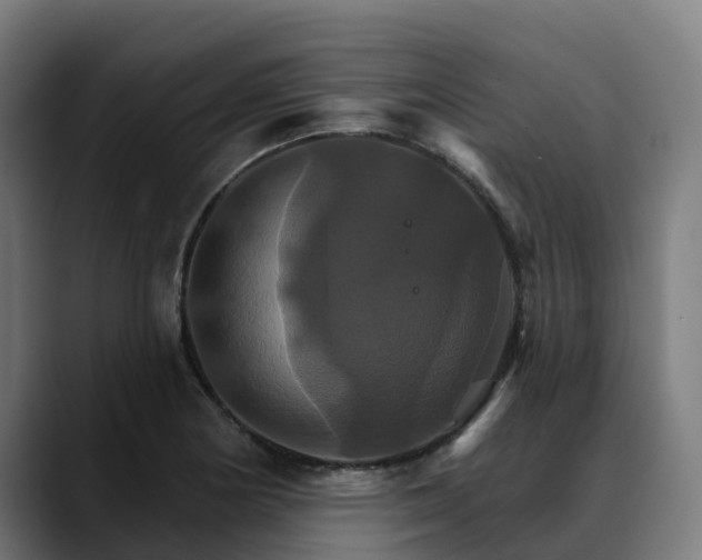 X0000088471178200705291543