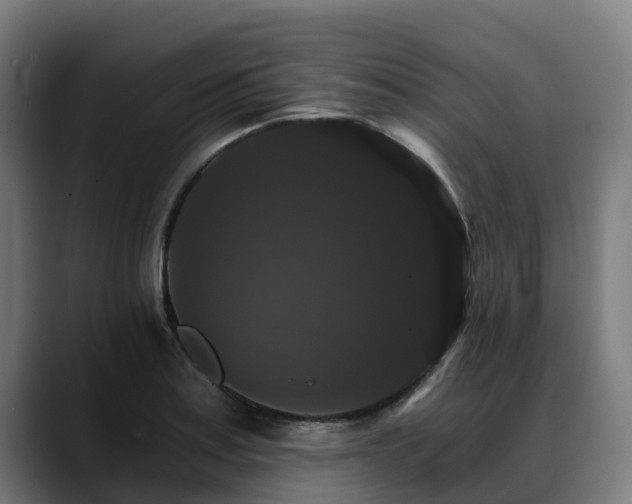 X0000088471179200705291543