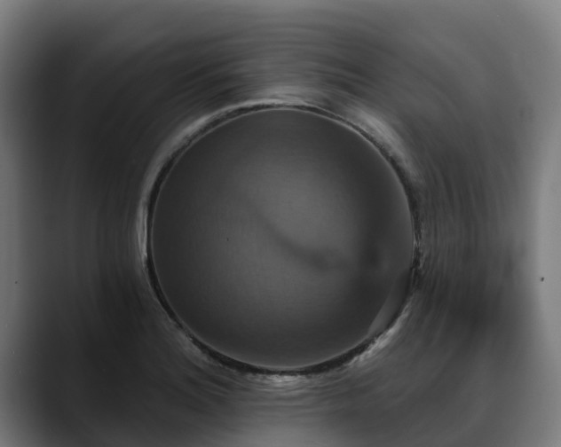 X0000088471180200705291543