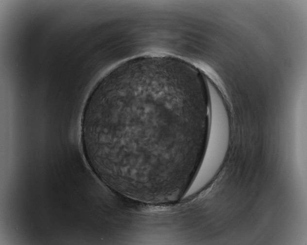 X0000088471183200705291543