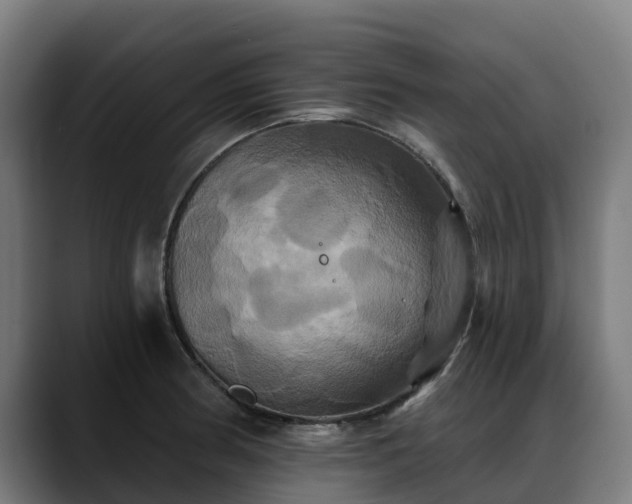 X0000088471186200705291543