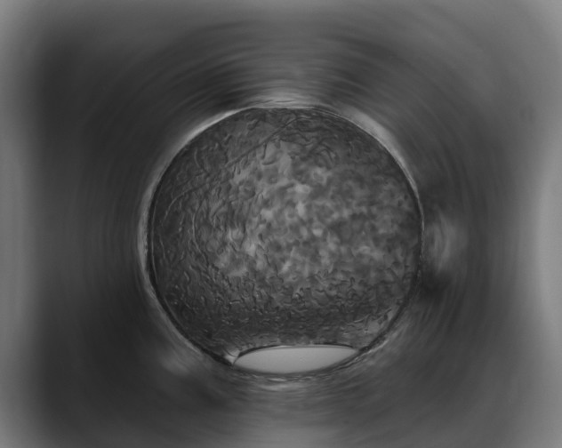 X0000088471195200705291543