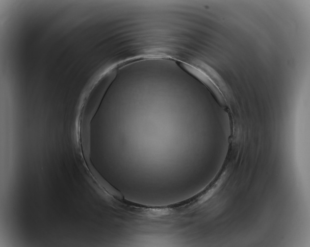 X0000088471196200705291543