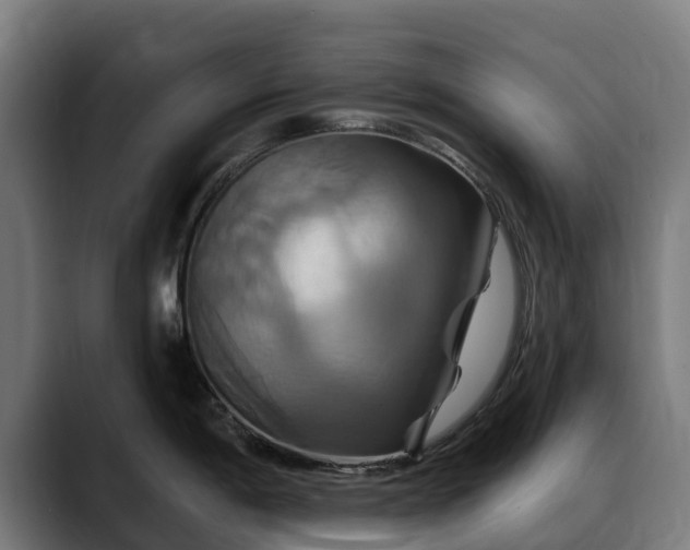 X0000088471198200705291543
