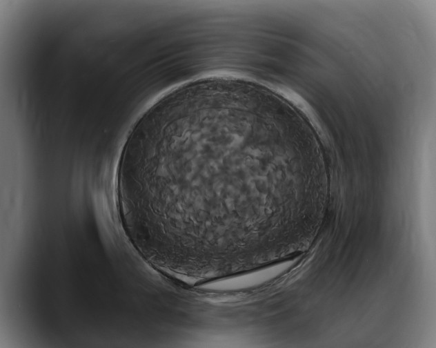 X0000088471199200705291543