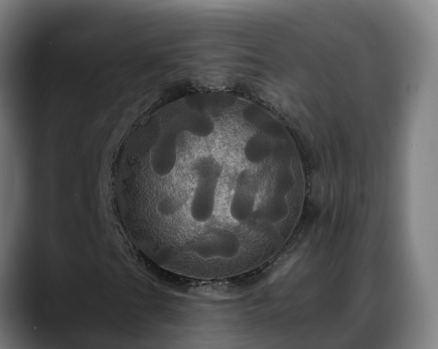 X0000088471201200705291542